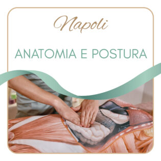 Anatomia e Postura (con il Dr. M. Grasso) - Napoli 11 Ottobre 2026